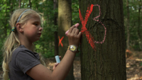 Het Meisje en de Boom / Das Mädchen und der Baum