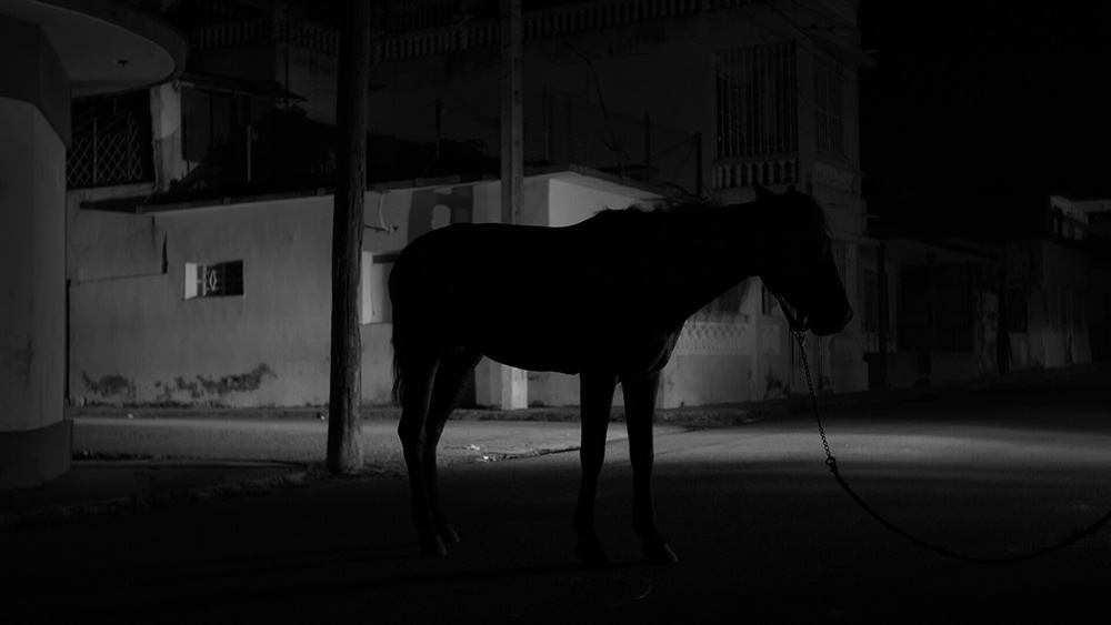 SUEÑA AHORA/BLACKOUT DREAMS, Gabriele Licchelli, Francesco Lorusso & Andrea Settembrini