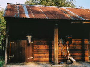 WEST COUNTRY, UK 2021, 10 Min., Rowan Ings